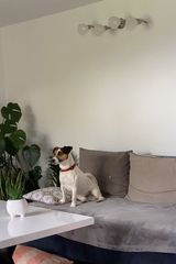 Benutzerfoto Frog5510