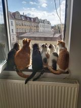 Foto pengguna maciejchelminiak76