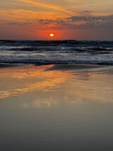 Benutzerfoto Kamuflage123