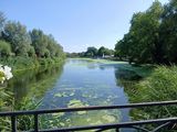 Foto utilizatorului robertkisiel75