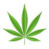 Foto utilizatorului Chetnie420igraszki