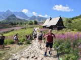 Benutzerfoto ponczi