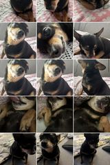 Benutzerfoto Igszymonqg