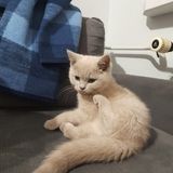 Benutzerfoto Fajnydzieciak