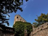 Benutzerfoto Bambusik147