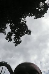 Фотография пользователя pyteldrobkobylanka