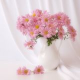 Фотография пользователя franzgallus48