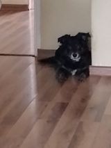 Benutzerfoto zielinskiwojtek847