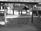 Фотография пользователя tomek1979lbn