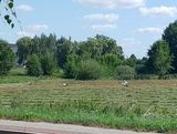 Фотография пользователя kopyscpiotr332