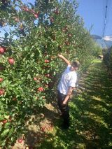 Benutzerfoto Romek76