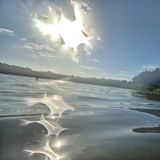 Benutzerfoto ktosobcy9