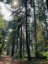 Benutzerfoto sebas122