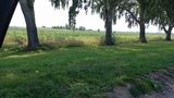 Benutzerfoto voslucy4