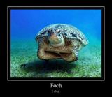 Foto pengguna MarekNowy1
