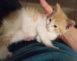 Фотография пользователя Jestempl