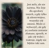 Benutzerfoto margheritasosenka