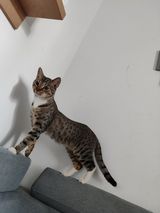 Фотография пользователя Gwiazdeczkaa42