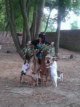 Фотография пользователя Sympatique