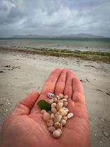 Foto pengguna floreslawranca