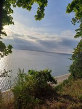 Benutzerfoto dzozef