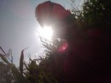 Foto pengguna orlimateusz