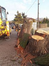 Фотография пользователя nowy723130848