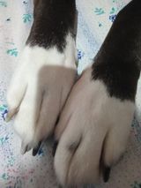 Benutzerfoto ciekawymisiaczek