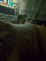 Фотография пользователя OliszewskiM