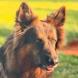 Фотография пользователя Fatoat