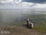 Фотография пользователя krzysztofreszkie28