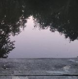 Foto pengguna Widmo7777