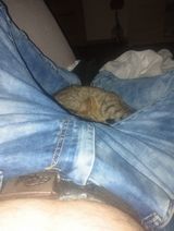 Foto pengguna ongrr