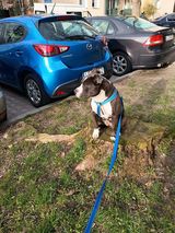 Фотография пользователя KrystekAmstaff