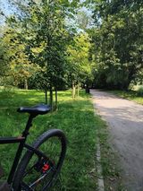 Foto pengguna burghardtmarcin110