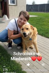 Benutzerfoto aniaostrowska74161