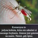 Фото користувача WikusiaW