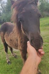 Foto utilizatorului ERav