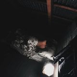 Фотография пользователя aisasdr