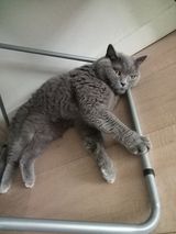 Foto pengguna Chillout87