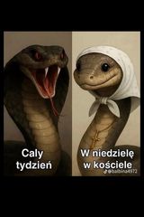 Benutzerfoto KoBruSKaa
