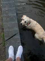 Foto pengguna Djtomek