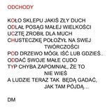 Benutzerfoto DawidMusiol