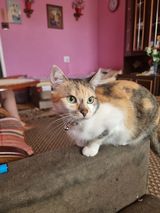 Fotka uživatele jaroslawglanowsk52