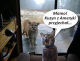 Fotka uživatele u0553716592