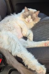 Фотография пользователя Piotrrrasss