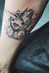 Photos Gofer3