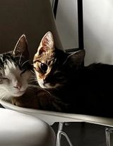 Benutzerfoto XdDawid