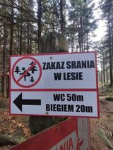 Фотография пользователя Annnnnaaaa45