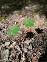 Fotka uživatele DluzszaChwila83